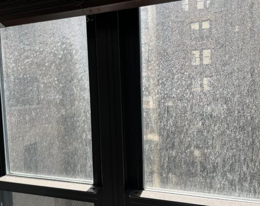 Cleaning Mold from Windows