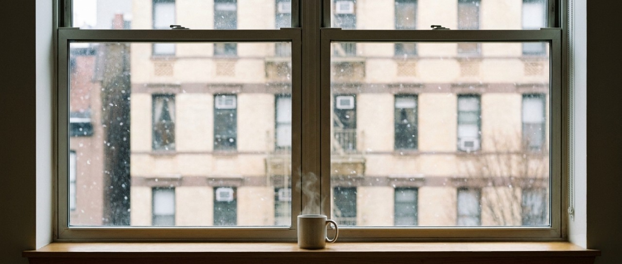 why-new-yorkers-need-energy-efficient-windows