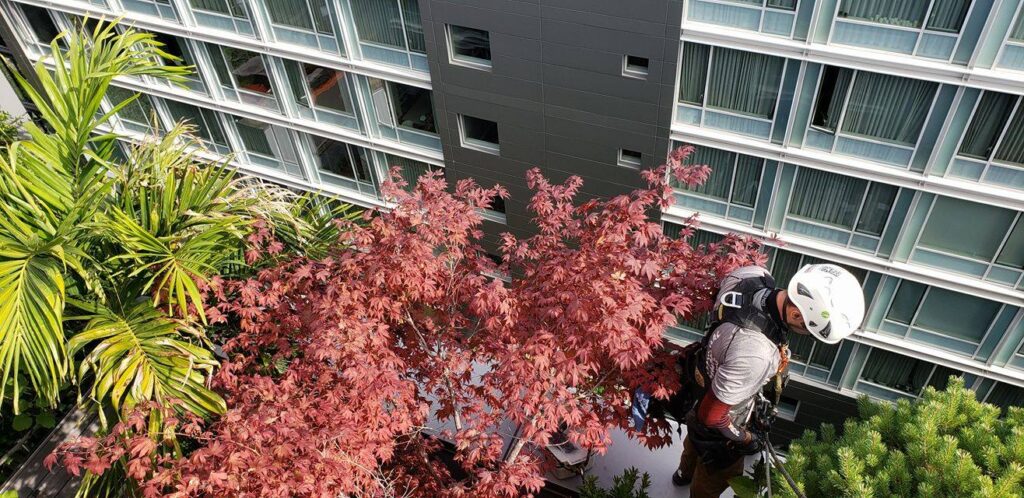 spring-window-cleaning
