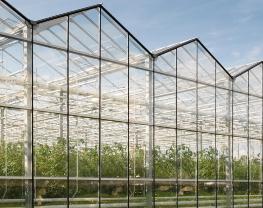 Greenhouses cleaning