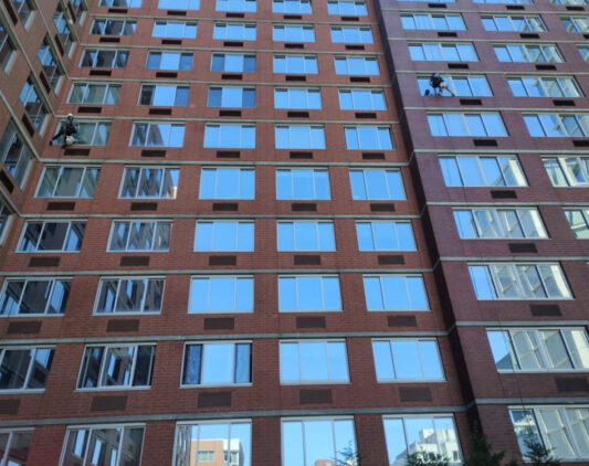Importance of Professional Window Cleaning Services