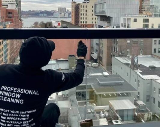 professional window cleaners