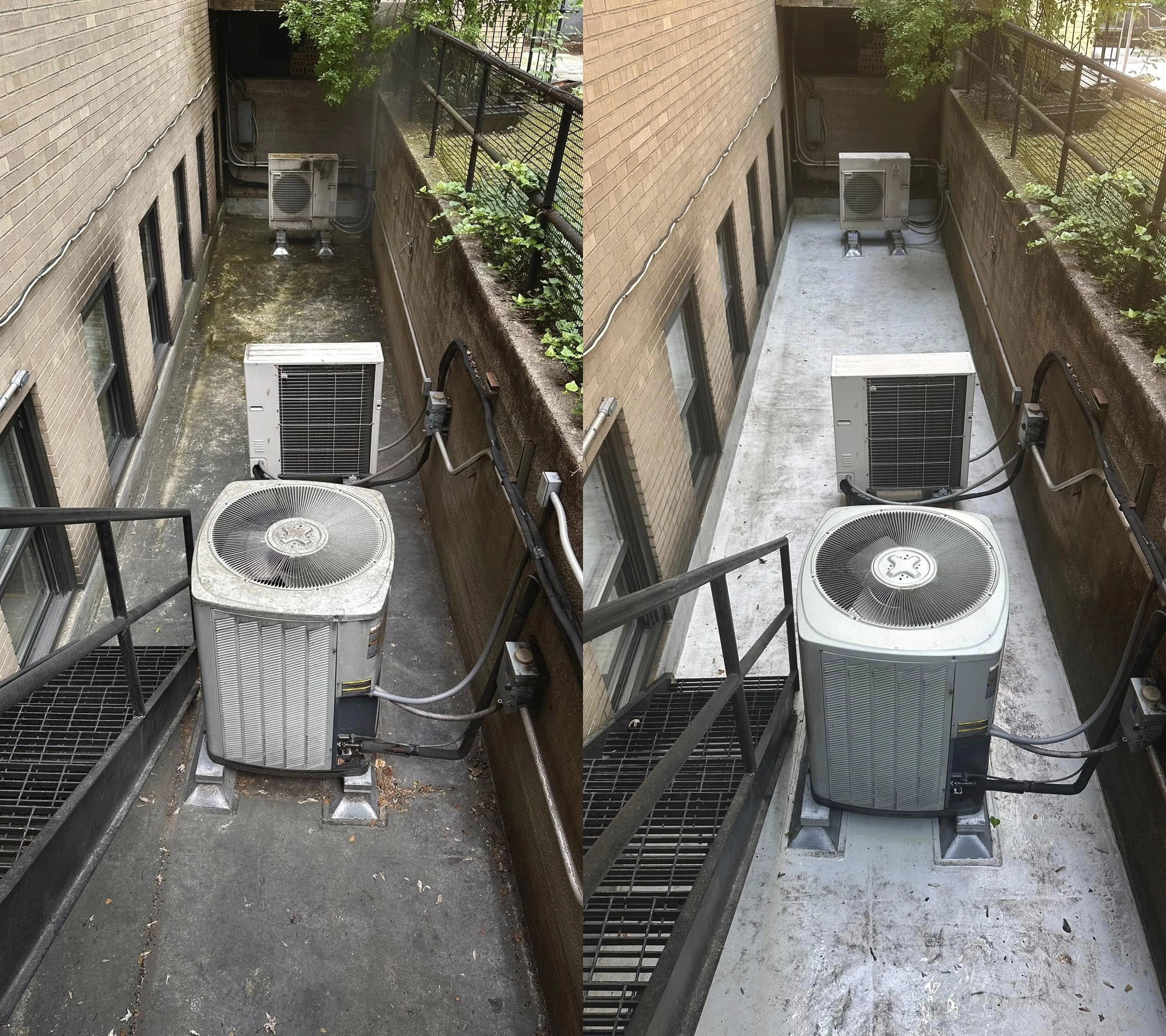 before-after.webp