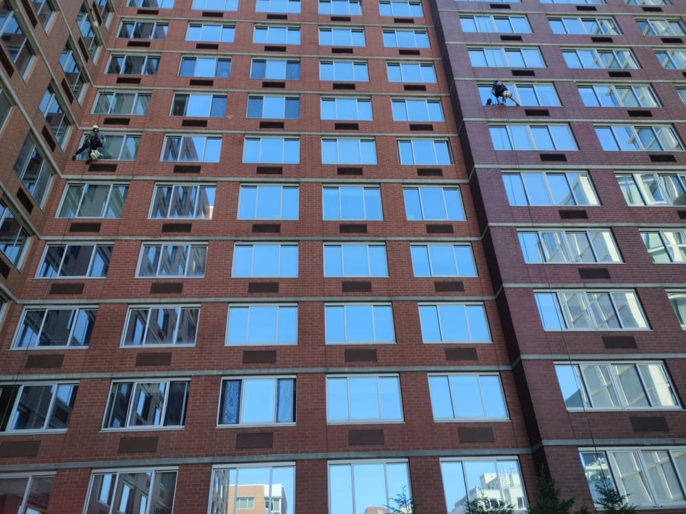 Importance of Professional Window Cleaning Services