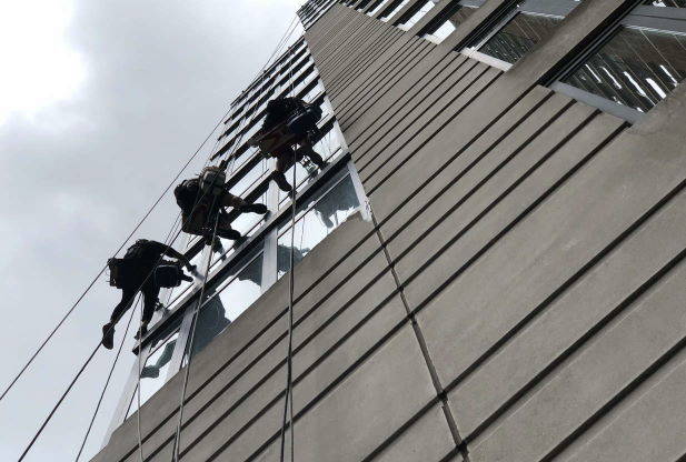 insured-window-cleaners-1.jpg