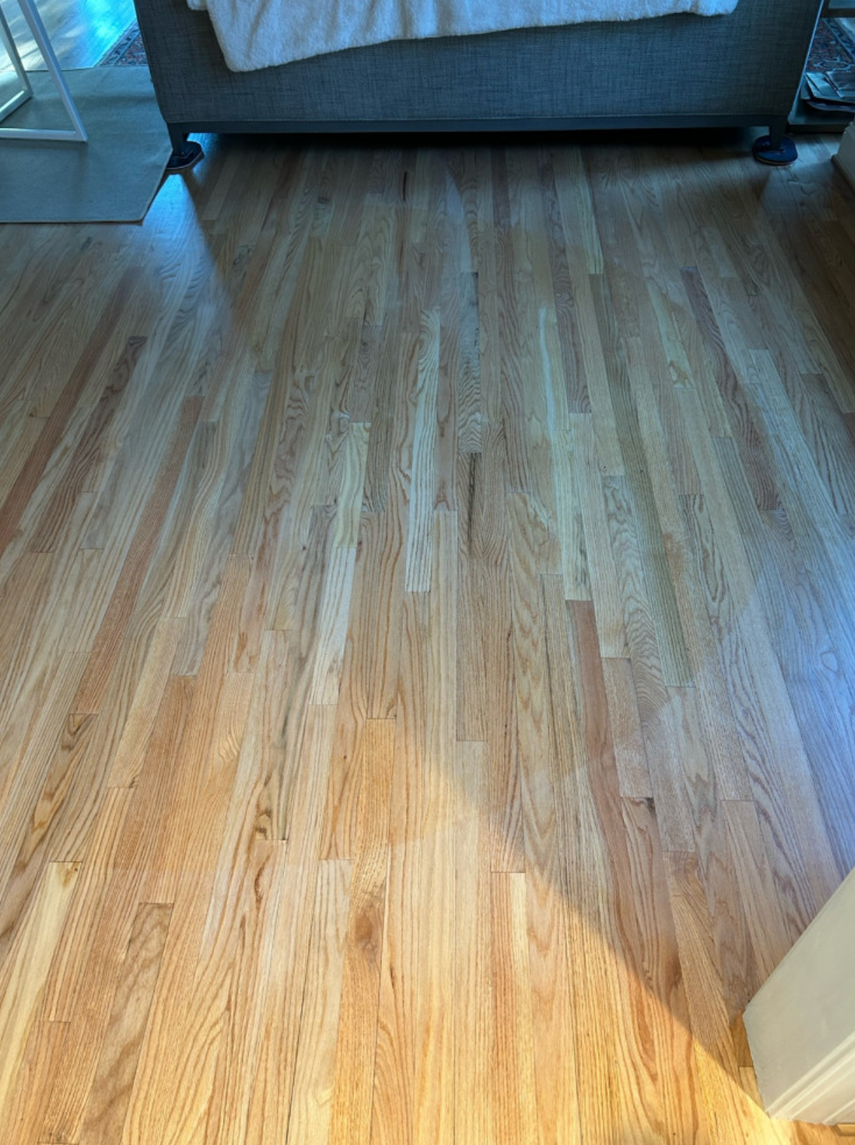 sun-damage-risk-new-york-city-apartment.png