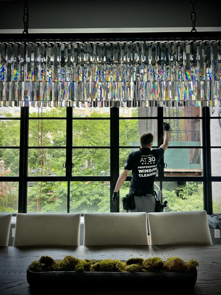 Window Cleaner 